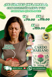 🌿💊CARDO MARIANO  - SALUD EPATICA EN TUS MANOS  ⭐⭐⭐